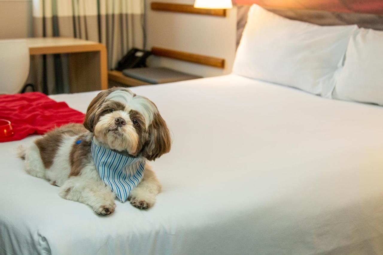 Hotel Ibis Tatuape