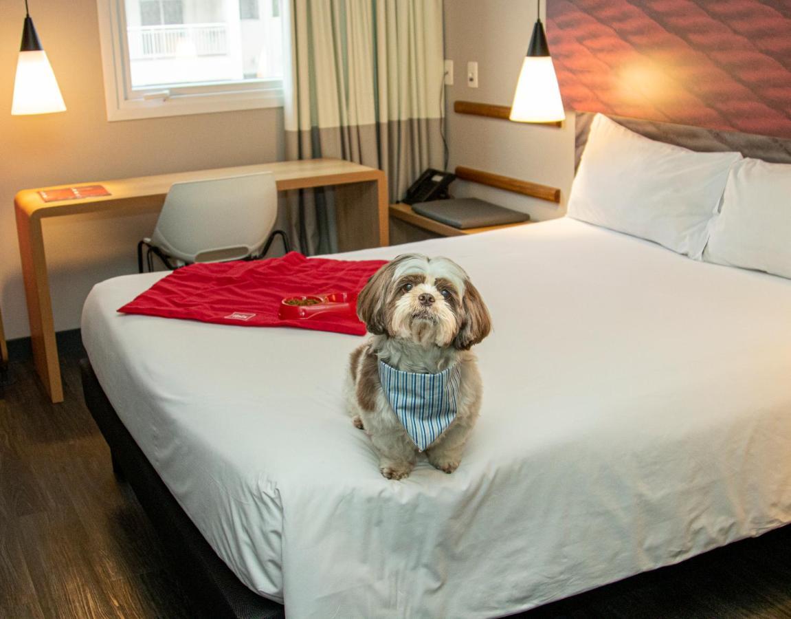 Hotel Ibis Tatuape Sao Paulo